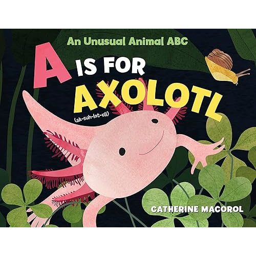 A Is for Axolotl: An Unusual Animal ABC Hardcover – Picture Book, March 29, 2022