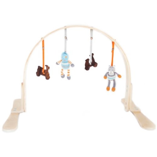Finn + Emma Organic Play Gym
