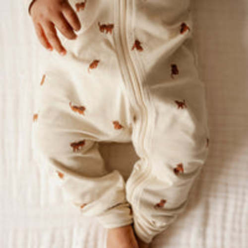 Organic Cotton Reese Zip Onepiece - Tommy Tigers