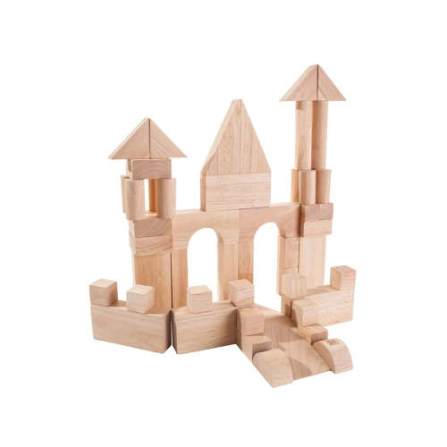 Plan Toys 50 unit Blocks