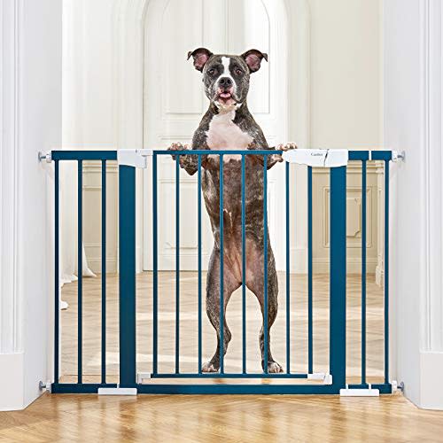 Cumbor 46”Baby Gate for Stairs and Doorways, Extra Tall and Wide Auto Close Safety Child Gate, Easy Walk Thru Durable Dog Gate for The House. Includes (2)2.75-Inch and 8.25-Inch Extension(Blue)