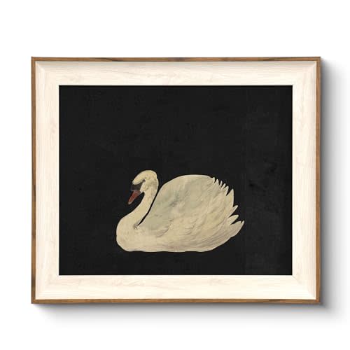 VIYYIEA Framed Wall Art for Living Room, Swan Art Canvas Prints, Vintage Home Decor, Animal Oil Painting Picture, Bathroom Wall Decor Gifts for Friends or Family -Zwaan-(10L x 8W)
