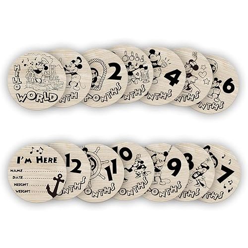 Little Mouse Baby Age Milestone Sign, Baby Monthly Cards/Discs for Baby Pregnancy Growth Photo Prop 7 Pcs Double Sided
