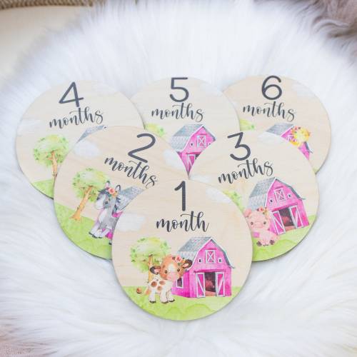 Farm Milestone Cards, Farm Animals Milestone Cards, Wood Milestone Card, Baby Milestones, Photo Prop, Pink Barn Farm Animal Nursery Theme C1