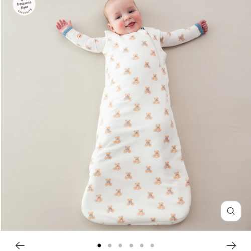 Sleep Bag in Teddy Bear 1.0
