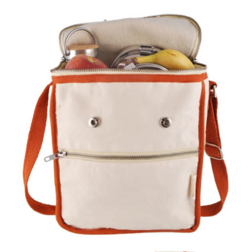 Insulated Travel Milk Carrier