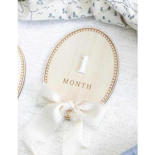 Baby Monthly Milestone Markers ,Interchangeable boy Month Signs, Wooden Trim Milestone Markers,Newborn Hospital Announcement,Baby Photo Prop
