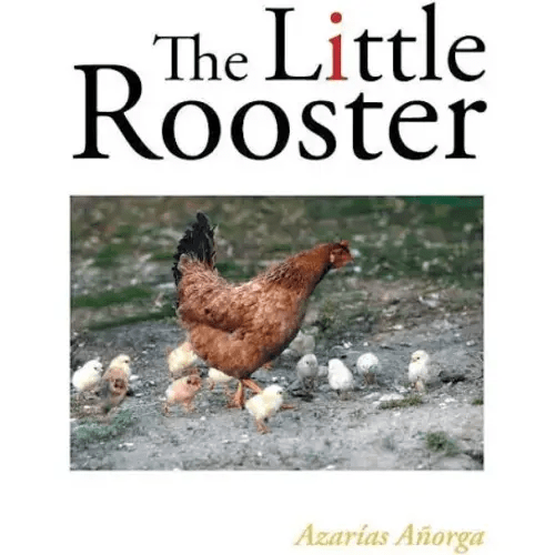 the little rooster book - Google Shopping