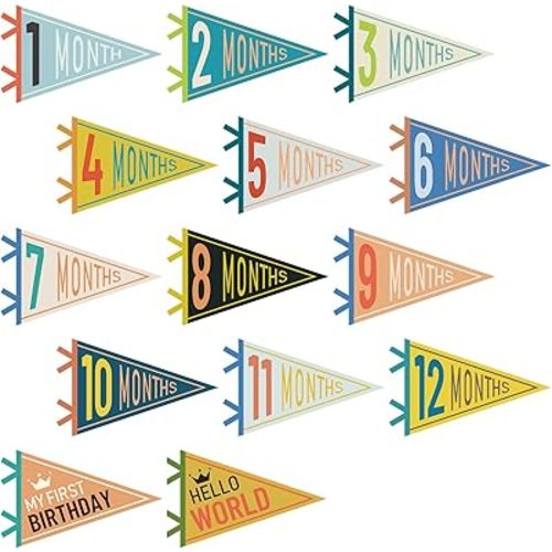 14 Pcs Baby Felt Pennant Milestone Signs Monthly Milestone Banner Flags Pennant Triangle Banner Age Milestone Flag Signs for Boy Girl Newborn Birthday Party Decor(Mixed Colors)
