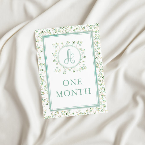 Watercolor Heirloom Baby Milestone Cards with Handpainted Magnolia Crest & Monogram, Monthly Milestone Sign, Baby Milestone Markers