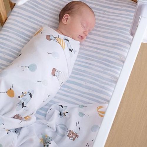 Living Textiles 2-Pack Up and Up Away Jersey Swaddles