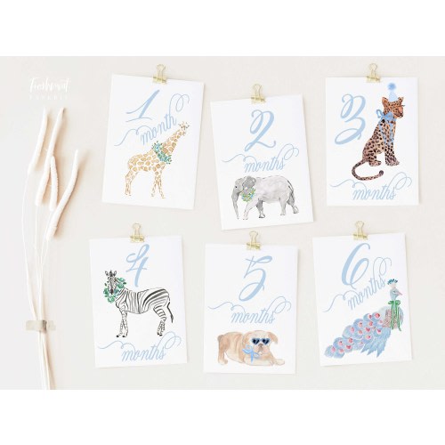 Boy Milestone Cards | Milestone cards | Safari | Baby Gift | New Mom | Gift Ideas | Baby Shower | Baby Month Cards | Memories | Baby Boy