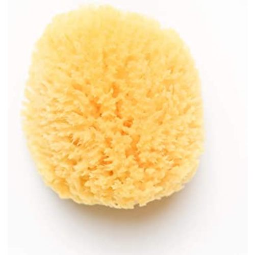 Kyte Baby Natural Sea Sponge, 4 to 5 Inches