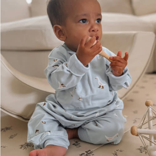 Cowboy Goose Light Blue Long Sleeve Fleece Jumpsuit | günamüna