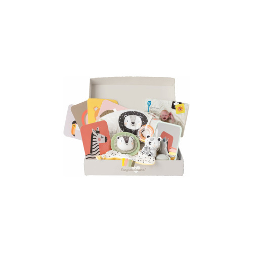 Taf Toys Newborn Develop & Play Kit