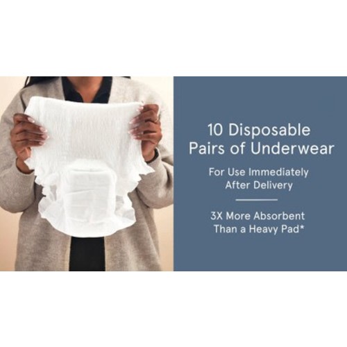 LOLA Postpartum Underwear with Organic Cotton Maxi Pad - 10ct : Target