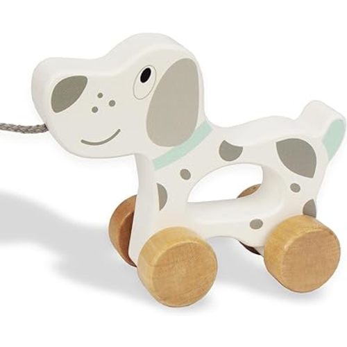 Baby Toys Car,Wooden Pull Along Toddler Toy, Developmental Toy for 1 Year Old Girl Boy Birthday Gift (Dog)