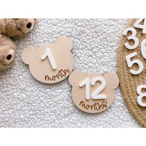 Teddy Bear Monthly Milestone Marker, Interchangeable Month Baby Bear Milestone cards, Monthly Wooden Milestone Discs, Baby Photo Signs