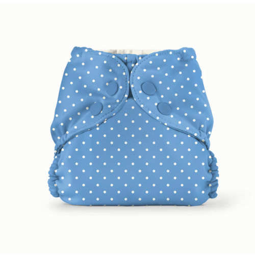 Outer–Penny Dot / One