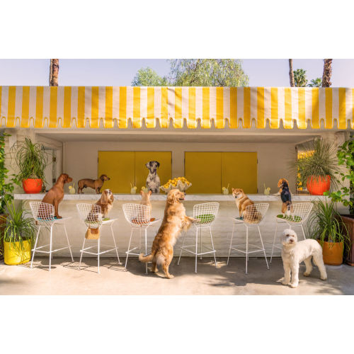 The Lemonade Stand, Parker Palm Springs