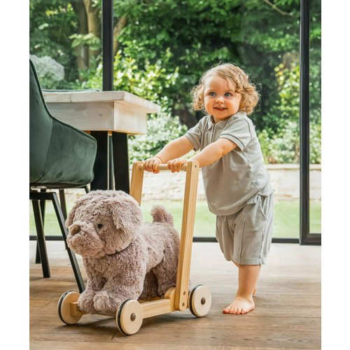 Bailey Dog Baby Walker
