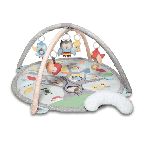 Skip Hop Activity Gym/Playmat, Treetop Friends