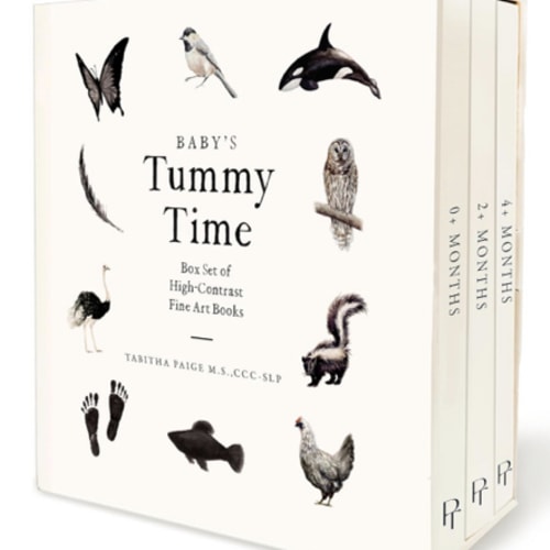 Baby's Tummy Time Book Box Set: A 3-Book Box Set of High-Contrast Art for Visual Stimulation at Tummy Time (Our Little Adventures Series)
