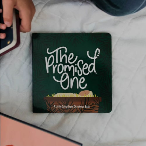 The Promised One Board Book