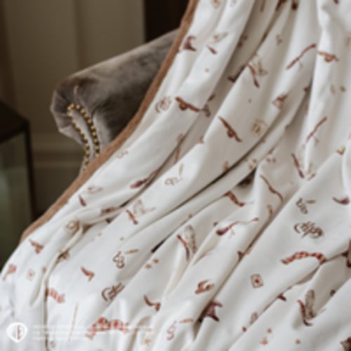 Harry Potter - Soft Minky/Lush Blanket with Magical Touch