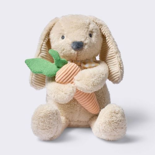 Bunny Plush Stuffed Animal Toy with Detachable Rattle - Cloud Island™