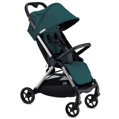 The One Stroller (Ponderosa Pine)