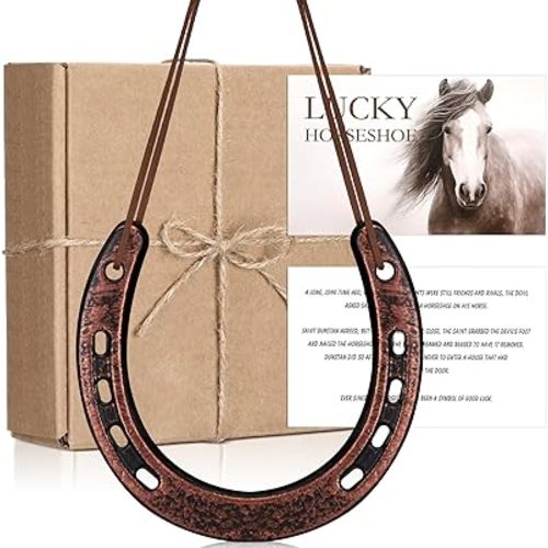 VioraWhite Good Lucky Horseshoe Decor Gift Sets with Card Rope New Home Housewarming Gift Rustic Horseshoe Wall Sign Ornament for Christmas Wedding Western Party Favors Decorations