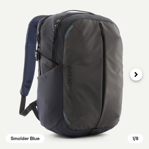 Patagonia Daypack for Diaper Bag