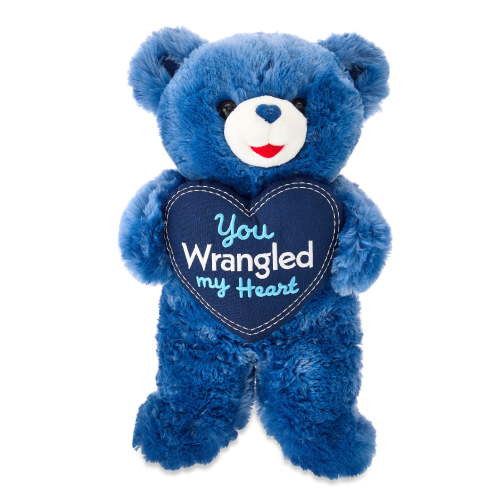 Large Sweetheart You Wrangled My Heart Teddy Bear Plush, Blue, 21", Valentine's Day by Way To Celebrate