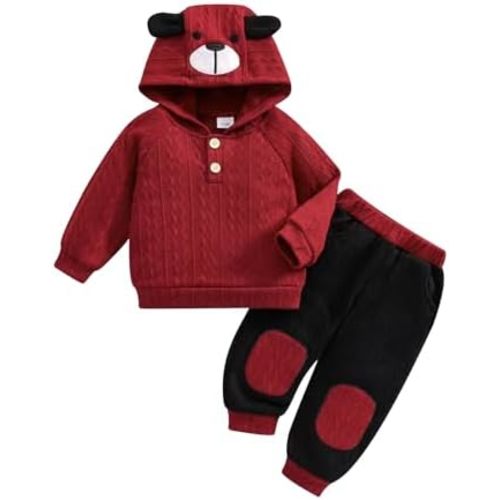 Toddler Baby Boy Fall Winter Clothes Long Sleeve Hooded Cute Dog Sweatshirt Tops Pocket Sweatpants Cute Infant Outfit