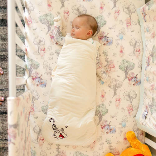 Disney Hundred Acre Wood Sleeveless Sleep Bag