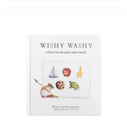 Wishy Washy: A Board Book of First Words and Colors