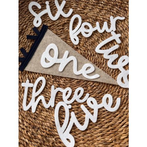 Monthly milestones interchangeable flag for baby photos, newborn photo prop first year, felt neutral pennant, baby shower gift