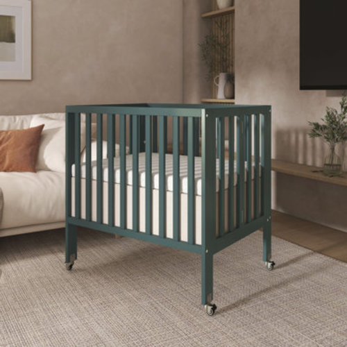 FISHER PRICE 2-in-1 Mini Convertible Crib with Mattress & Reviews | Wayfair