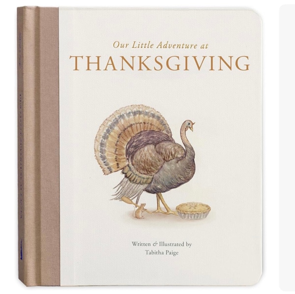 Our Little Adventure at Thanksgiving: Featuring Foundational Language Concepts and Lessons on Gratitude (Tabitha Paige Children's Book Series)