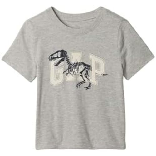 GAP Baby Boys Short Sleeve Graphic Tee