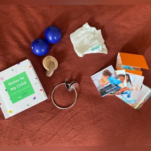 Lovevery Infant/Toddler Learning Playset - Toys