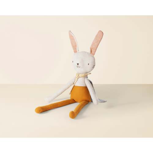 Robbie the Rabbit