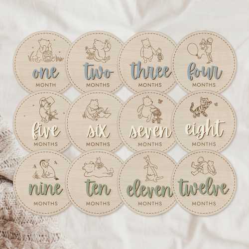 Winnie the Pooh Milestone Baby Classic Winnie the Pooh Nursery Monthly Milestone Frame Winnie the Pooh baby shower Neutral Milestone Cards