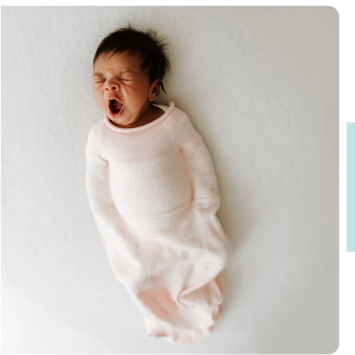 Pink Swaddle Sleep Sack – Swaddelini