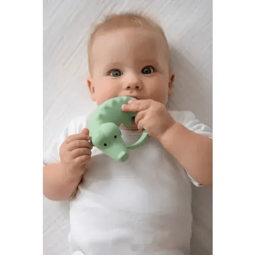 Crocodile Organic Natural Rubber Rattle, Teether & Bath Toy