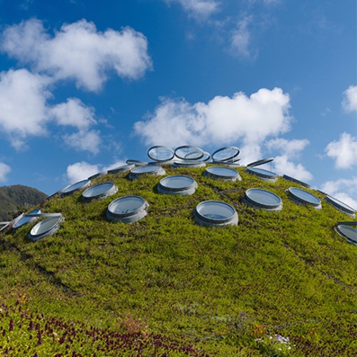 Individual Membership | California Academy of Sciences