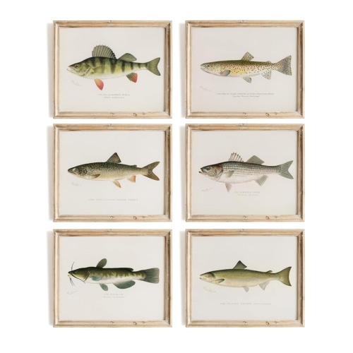 Fish Wall Art Prints (Set of 6) - Unframed - 8x10s | Vintage Fishing Decor - Reproductions of Vintage Fish Drawings - Midwest Fish Species - Great Gift for Fisherman
