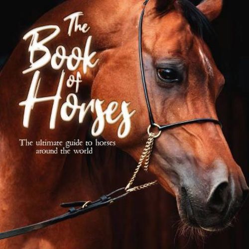 The Book of Horses - by Mortimer Children's Books (Paperback)