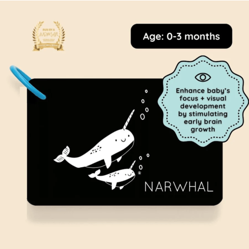 High Contrast Cards for Infants - Curious Baby™ Cards – Curious Baby Cards